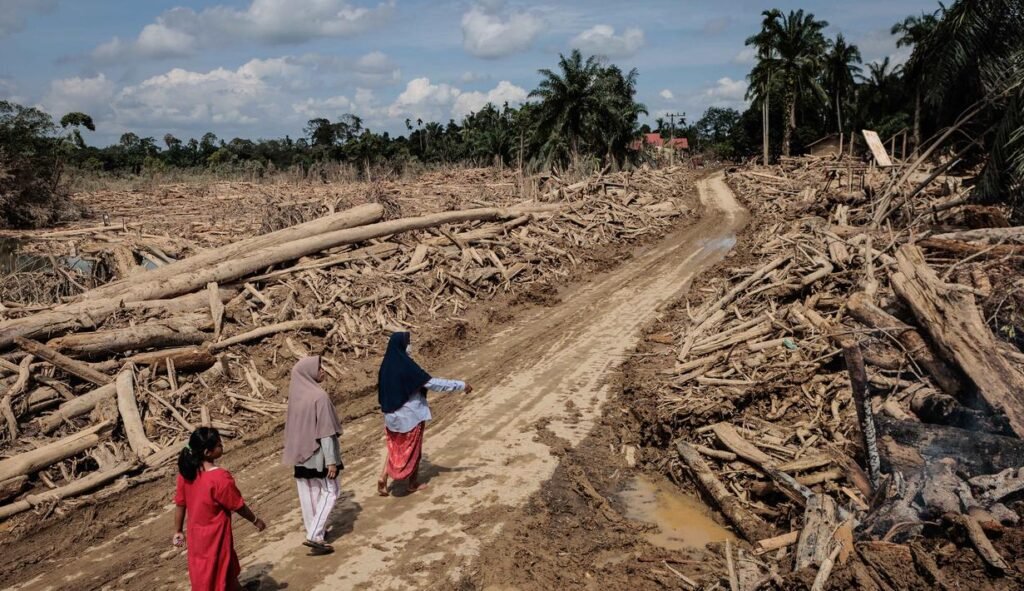 001735400_1765425683-2-1024x591 Tak ada tempat untuk beribadah karena kayu gelondongan menyumbat masjid di Indonesia yang dilanda banjir.